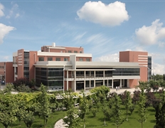 学校餐厅楼